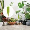 Plant Watering Spikes 4 Pieces Ceramic Irrigation Device Vacation Plant Watering Devices For Gardeners Growers Vacation Balcony