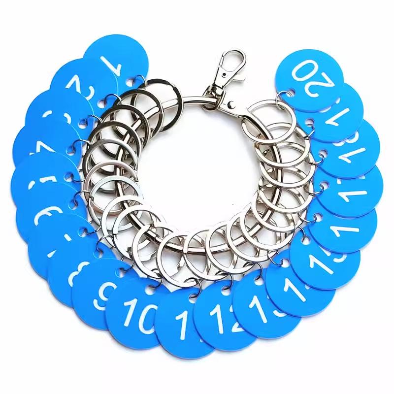 

Large Multi-Hook Keychain with Label Tag for Key Management