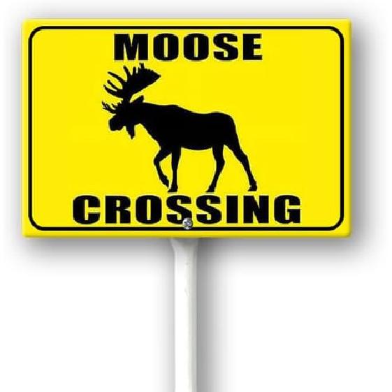 

Знак Переход белок для двора с колышком 12x8 дюймов, Алюминиевый знак, устойчивый к ржавчине, Наружный алюминиевый знак для декора газона, двора, сада, Легко устанавливается, Animal yard-8