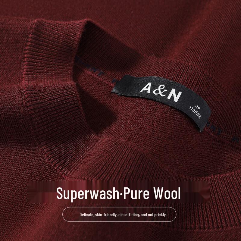 Antonio Men's Machine Washable Merino Wool Sweater