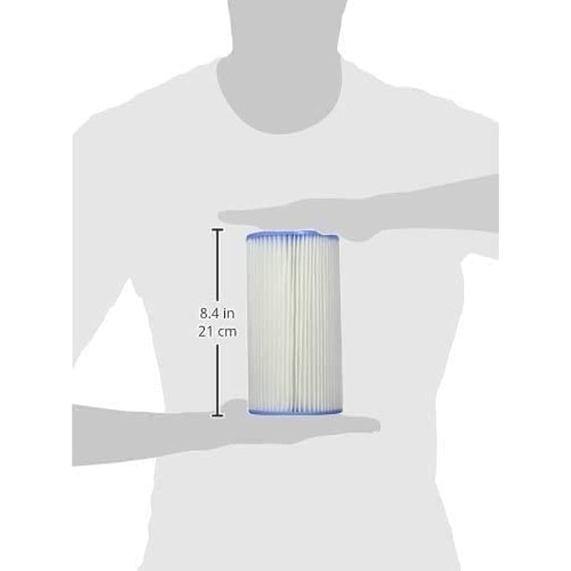INTEX Filter Cartridge