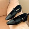 Mary Jane Single Shoes Thick Heel Shoes Elegant Classic Retro Square Toe Comfortable Soft Shallow Cut Low Heel Women's Shoes