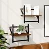 VidaXL Wall Shelves with Bars 2 Pcs Brown Oak 30x25x30 Cm 836237