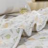 Hengyuanxiang Spring Garden All-Season Pillow Quilt