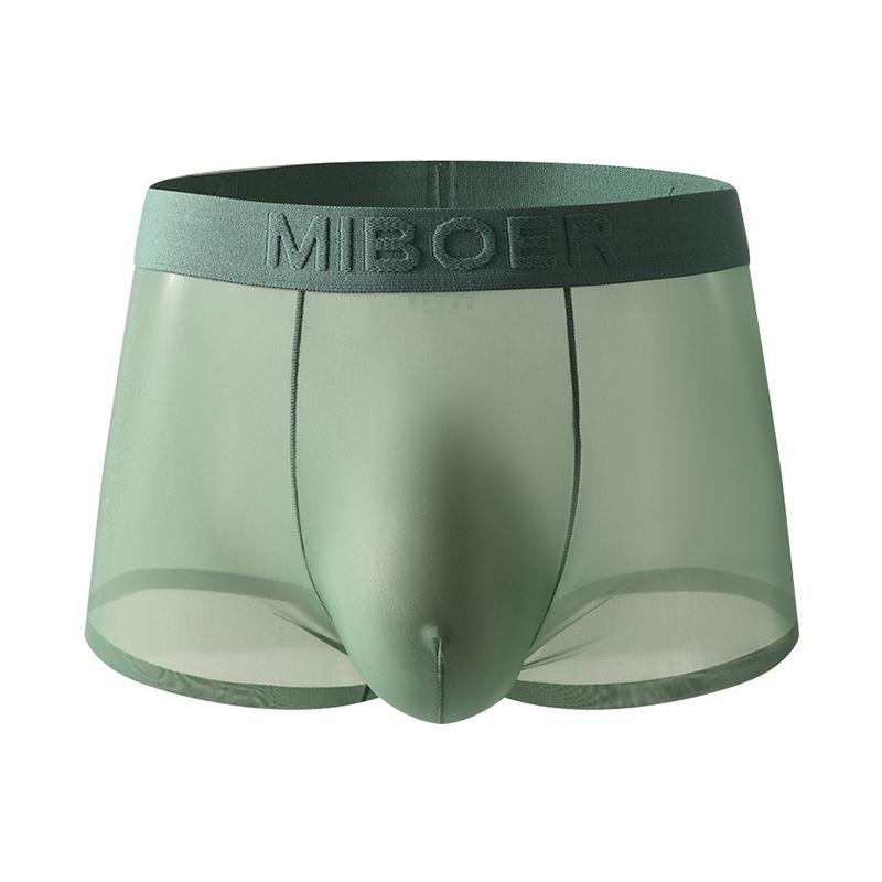 1 Stück Slips Dessous Nylon Einfarbig Unterwäsche Sexy Durchsichtig Boxer Briefs Transparentes Netzbeutel Herren
