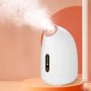 Cold and Hot Double Spray Face Vaporizer Nano Water Refill Sprayer Face Household Steam Engine Beauty Salons Special Face Vaporizer Beauty Equipment