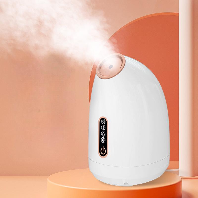 Cold and Hot Double Spray Face Vaporizer Nano Water Refill Sprayer Face Household Steam Engine Beauty Salons Special Face Vaporizer Beauty Equipment