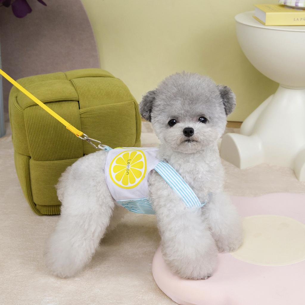 Pet Dog Harness Vest Summer Breathable Puppy Accessories Blue Yellow Dog Harnesses With Leash Kitten Chest Strap Leash Set XXL