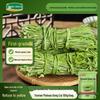 Ingredienti per Hot Pot e Piatti Freddi Huatianshibang