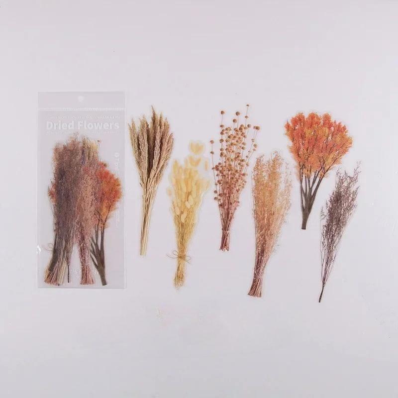 6pcs Vintage Dried Flower PET Sticker Decorative Diary Craft Scrapbook Planner Journal  Aesthetic Stationery