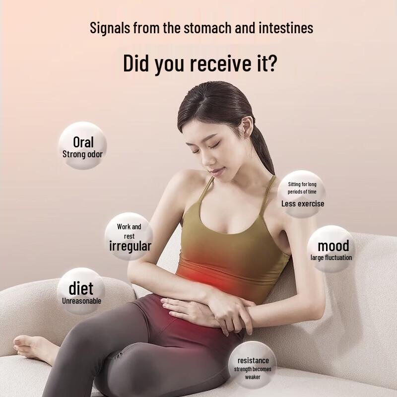 CHIGO Smart Waist & Abdominal Massager CN plug (adapter included)