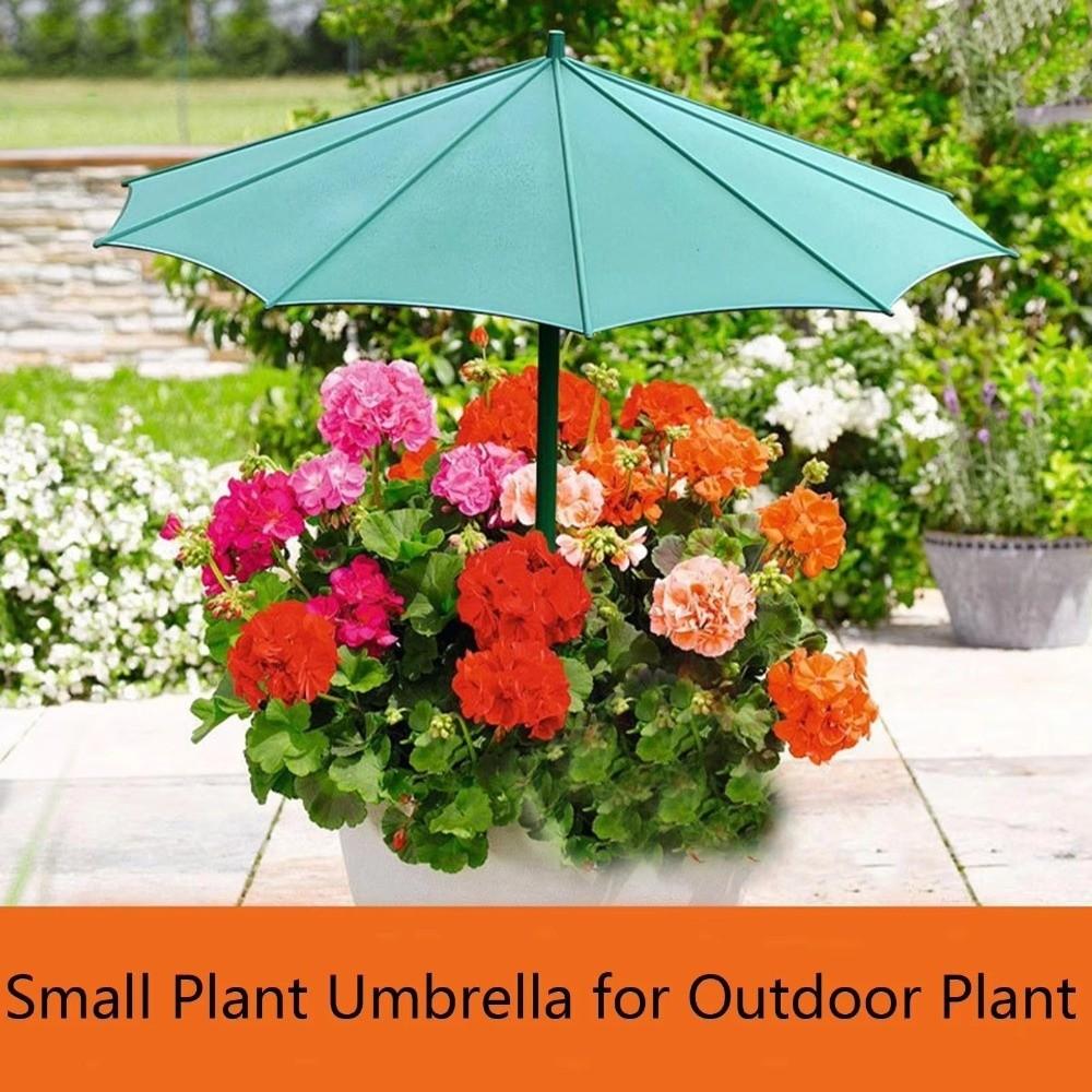 Mini-Pflanzenregenschirm UV-Schutz Gartenpflanzen-Sonnenschutz Setzlinge Sonnenschirm Topfpflanzen