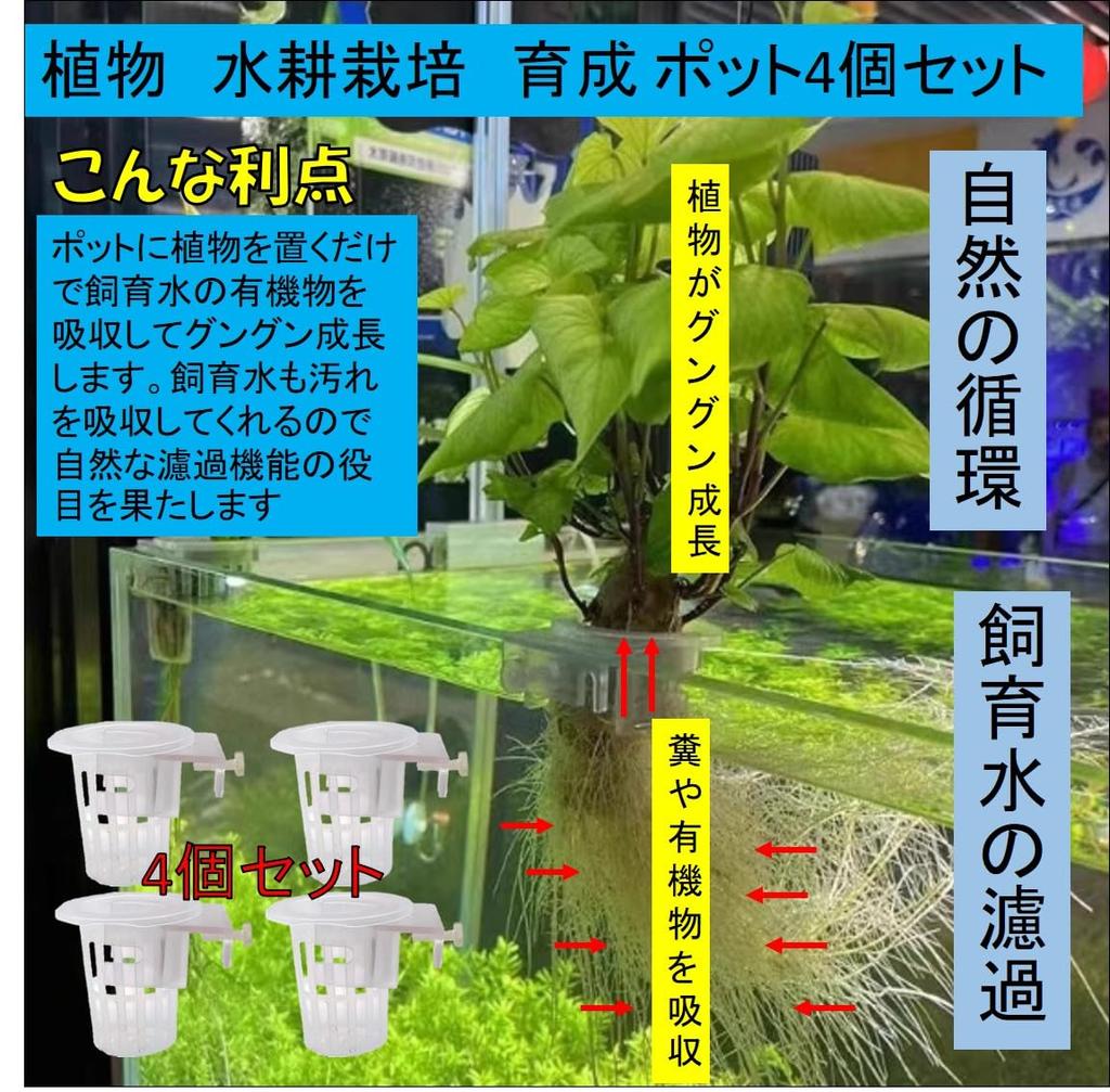 ST TS Hydroponic Plant Holder Cups, Set of 4, Wall-Mounted Hanging Planter, Flower Pot Accessory, Stand for Aquatic Plants and Houseplants