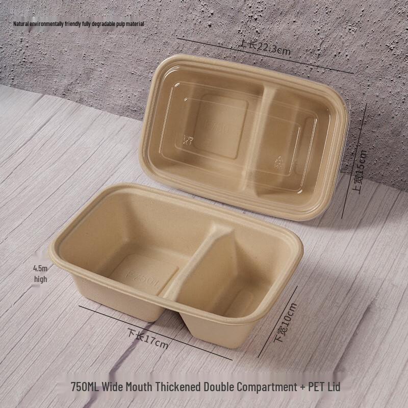Disposable Two-Compartment Food Box with Lid