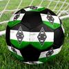 Pallone da Calcio Borussia Taglia 5 Colorato Cucito a Macchina PVC Pronto per la Competizione Resistente Alta Rimbalzabilità