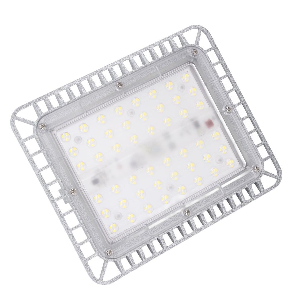 100W 12000LM LED Work Light Water Explosion Proof Lamp Glass Cover Lighting Lamp for Factory Mine Warehouse Workshop