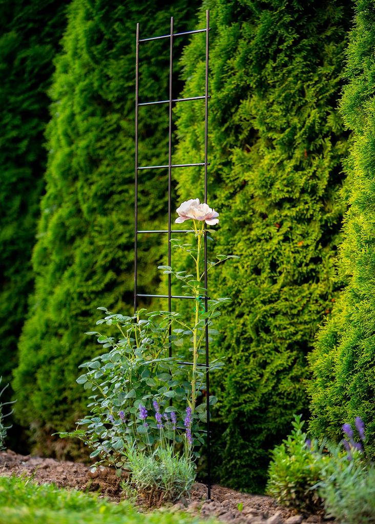 KADAX Krata Pergola Ogrodowa Do Roślin Pnących