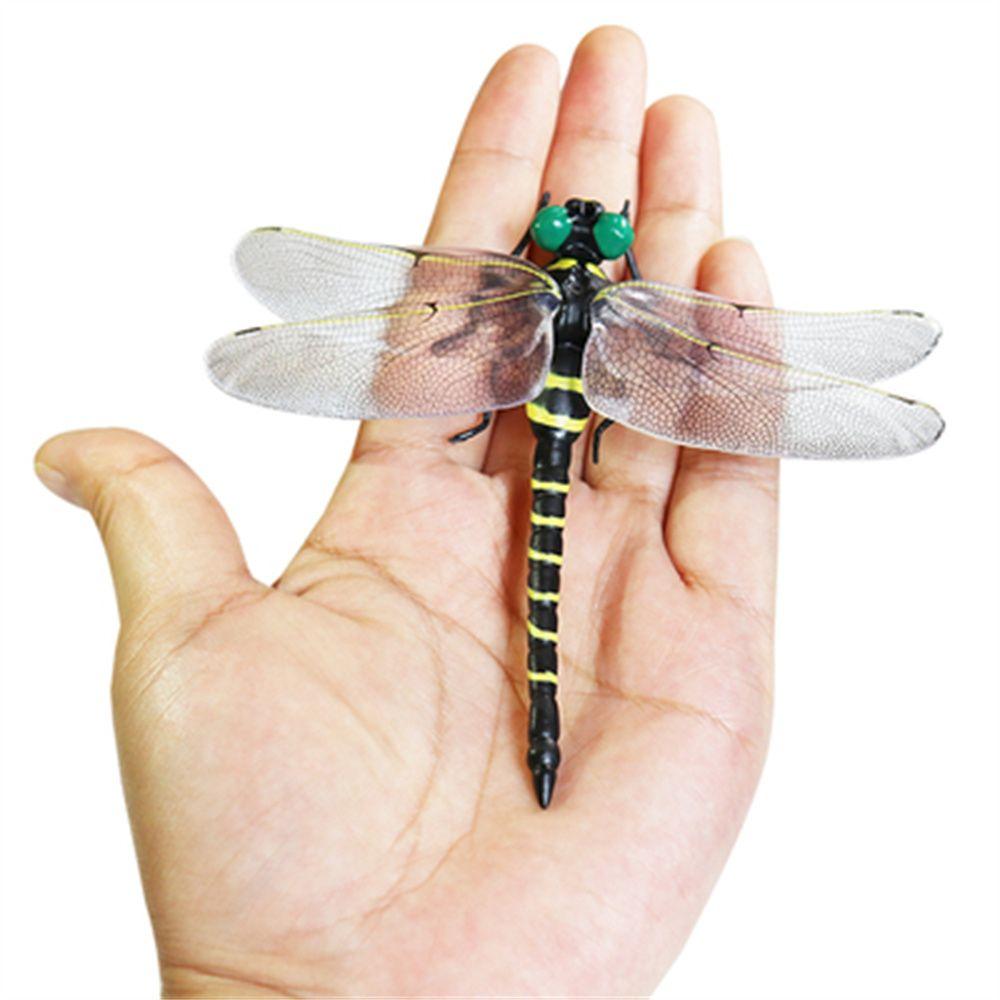 PVC Science Toys Animal Model Dragonfly Model Animal Figures Insects Model Dragonfly Action Figures
