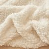 European 3D Carved Milk Velvet Winter Blanket Thickened Lamb Wool Blanket for Living Room Sofa Soft Warm Nap Quilt for Office