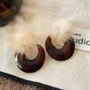 Maillard Coffee Color Amber Earrings Women's Autumn and Winter High-end Commuter Style Earrings Light Luxury Niche Design Earrings