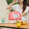 Cartoon Cats Lunch Bag with 2 Main Compartments Thermal Cooler Bag Lunch Case Insulated Bag Cooler Bag Lunch Box