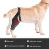 Dog Knee Rear Leg Brace with Fastening Strap Wear Resistant Ultralight Adjustable