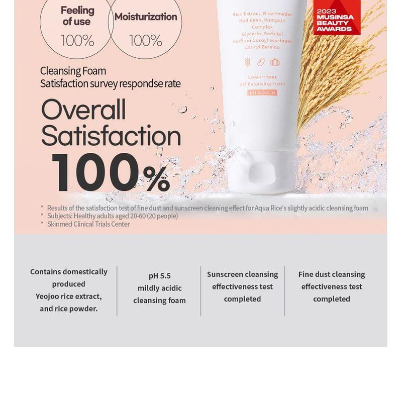 S.NATURE Aqua Rice Foam Cleanser