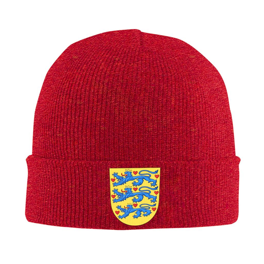 Denmark Coat of Arms Beanie Hats  Skullies Beanies Unisex Adult Funny Elastic Caps Winter Outdoor Pattern Bonnet Hats