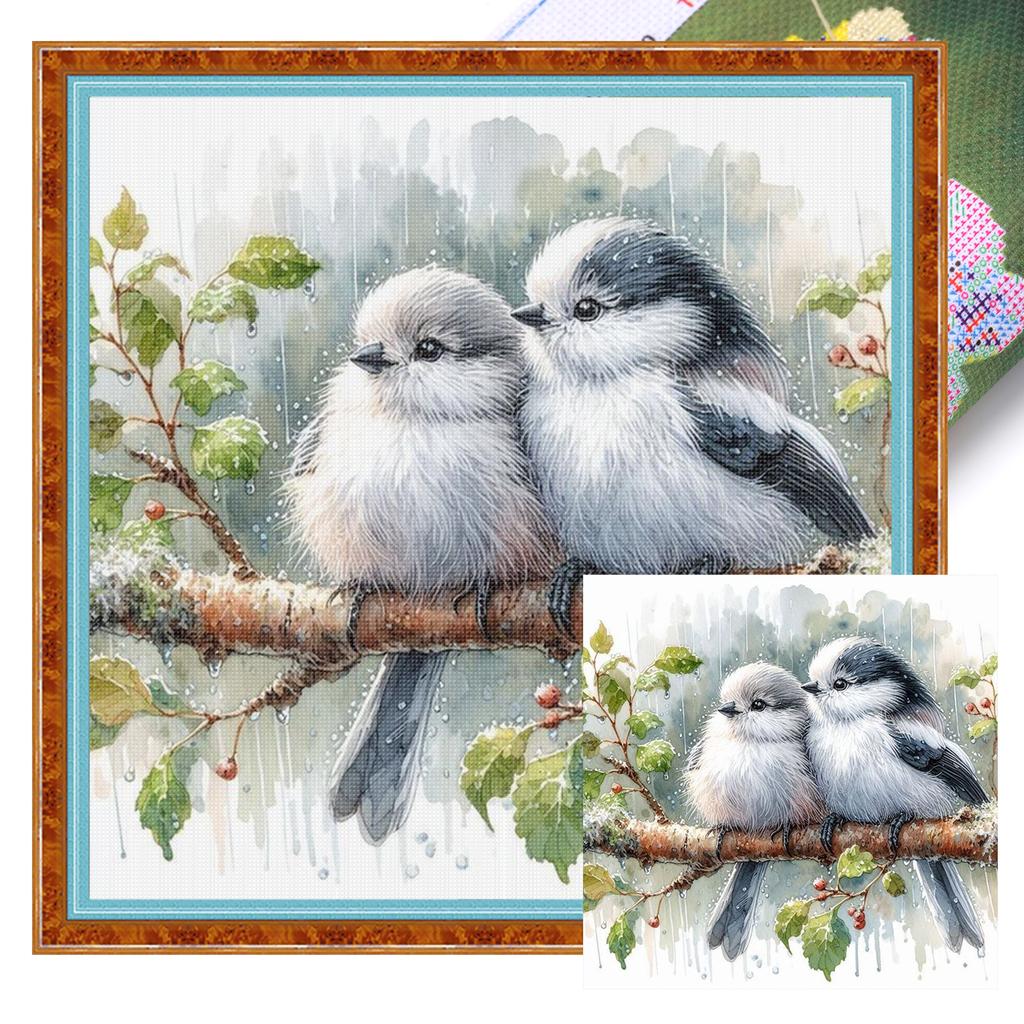 Robin Full 11CT DIY Stamped Needlework Embroidery Kit 40x40cm Printed Cross-Stitch Kits for Beginners Adults Home Decor