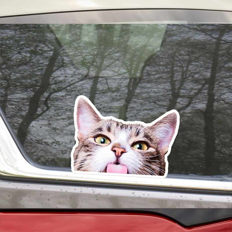 

Peeking Cat Car Sticker Decal Cat Looking Out Of Car Window Waterproof Vinyl Bumper Laptop Gift For Cat Lovers Outdoor Stickers TM223 15x11cm
