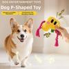 Alphabet Sounds Dog Chew Toy Chew Resistant Pineapple Fleece Dog Rope Knot Toy Bite Resistant Two-Tone Color Blocking