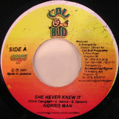 7inch Record NORRISMAN - She Never Knew It NONE Cali Bud 2001 Jamaica Reggae, Ska & Dub Used