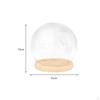 Display Dome with Base Clear Glass Cloche Decorative Bell Jar Case Table Centerpieces