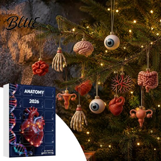 Human Organ Christmas Ornaments Anatomy Advent Calendars 2026 24 Days Organs Countdown Calendar 2D Body Science Kits Acrylic Parts Pendants