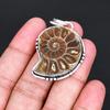 Natürlicher Ammonit Fossil Anhänger Silberbeschichtet Spiralmuschel Heilkristall Halskette Anhänger Schmuck Geschenk