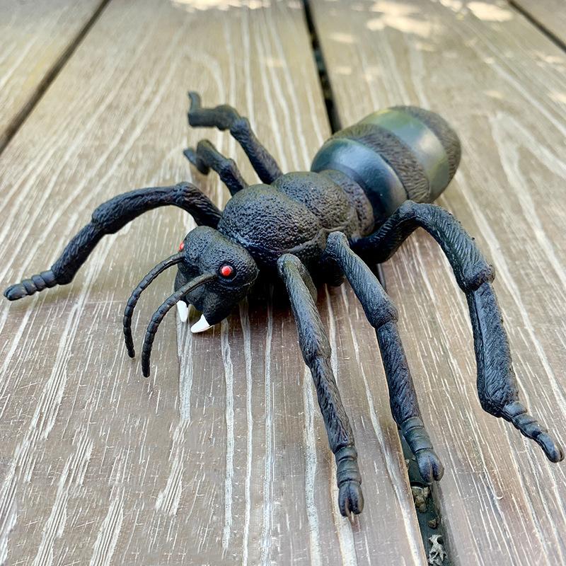 Large sized insect animal simulation model, spider, locust, scorpion, ant, unicorn fairy, children's educational cognitive ornam