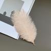 Source Thin Rod Ostrich Hair 20-25Cm High Quality Feather Diy Stage Clothing Accessories Flower Arrangement Material