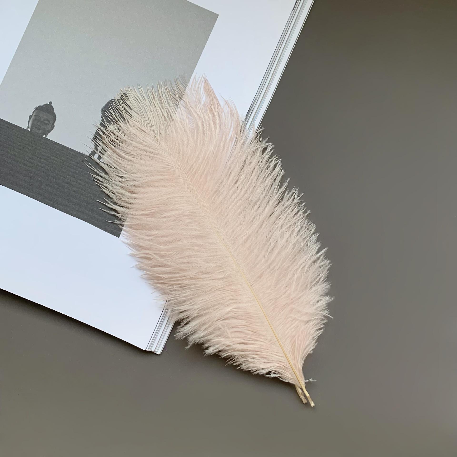 

Source Thin Rod Ostrich Hair 20-25Cm High Quality Feather Diy Stage Clothing Accessories Flower Arrangement Material