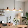 OEING Creative Ceiling Pendant Light