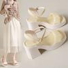High-heeled sandals woman summer 2025 new versatile thick heel Mary Jane fairy style with skirt fashion shoes woman