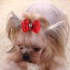  Pet Hair Bows Small Animal Pet Dogs Hair Accessories Multicolors Pack of 12