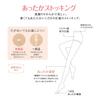 Gunze SABRINA Collant Nude Taglie, Resistenti agli Strappi, Caldi, Set da 3 Paia, Donna, Beige, M-L