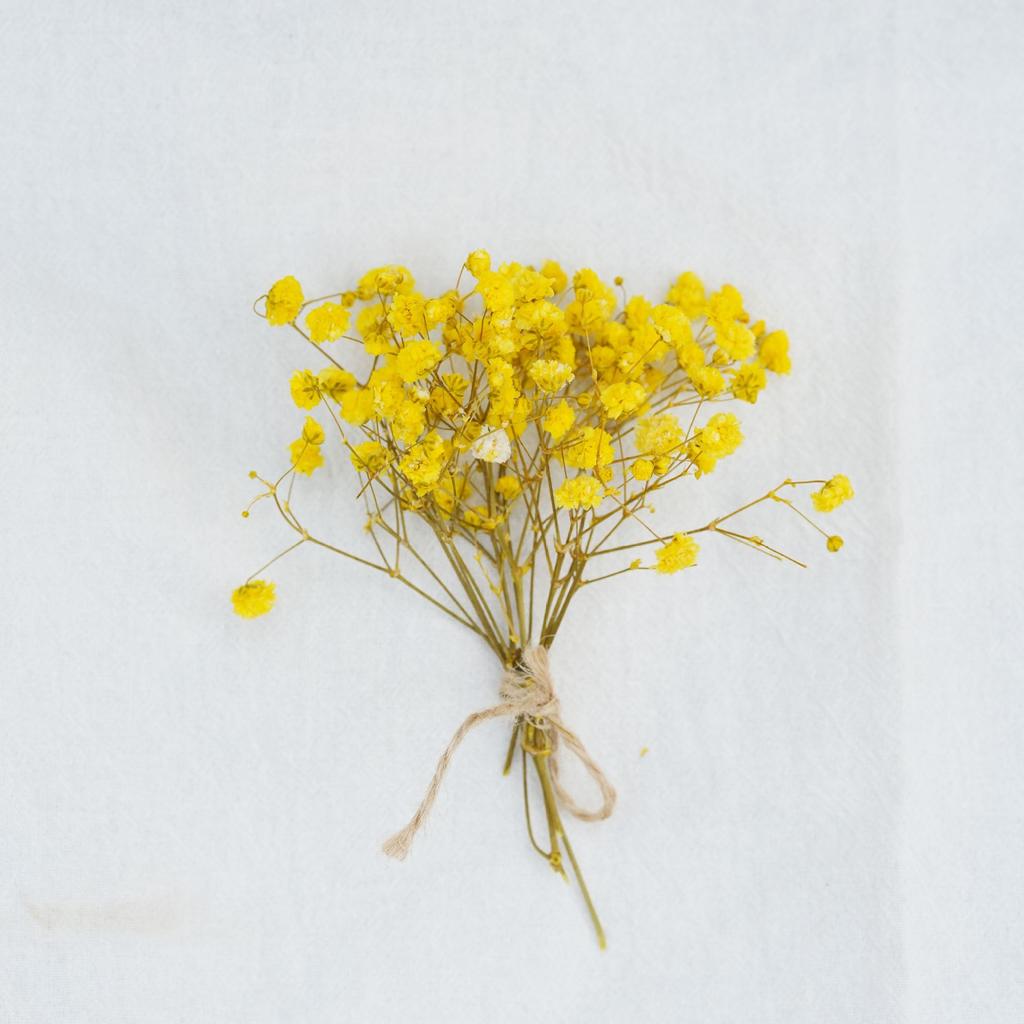 Classic Rustic Dried Flower Bundle Aesthetic Photography Props Minimalist Home Room Desk Vases Decor Accessories