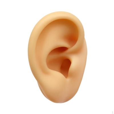 Silikon Ohrmodell Flexibel Falsch Künstlich für Ohrring-Präsentation Simulation Schaufenster