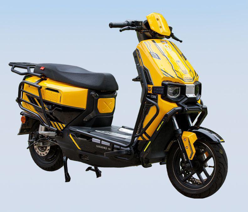 TaiLing NengS CangQiong Premium Electric Self-driving Motorcycle Protective Bar - Double Layer Baked Paint, Thickened Anti-fall Design