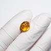 Stone Natural Fossil Amber with Insect Specimen of a 11x8x6mm [N2 Natural] - (35 "One Kind" [Amber Approx. 0.3g, Insect Approx. 1mm])