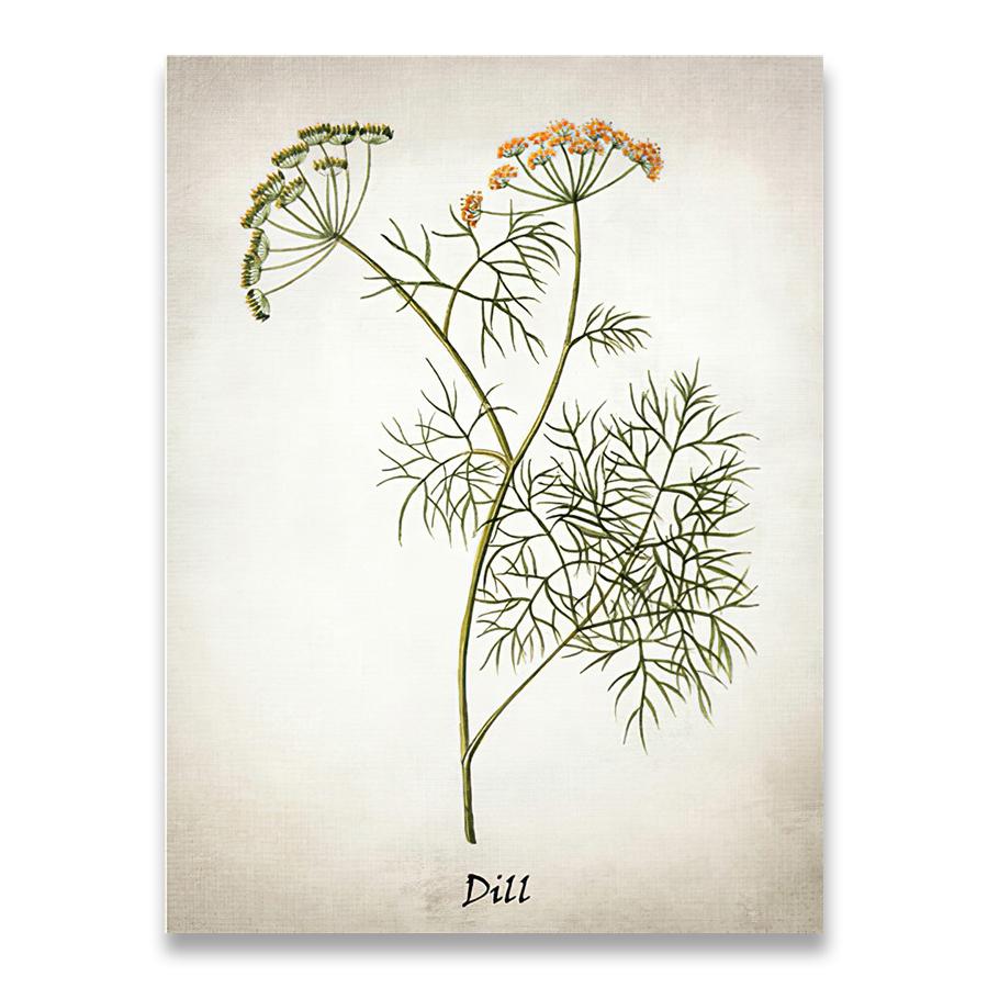 Herb Canvas Art Painting Vintage Herbal Illustrations Posters and Prints Culinary Herbs Botanical Kitchen Wall Art Picture Decor