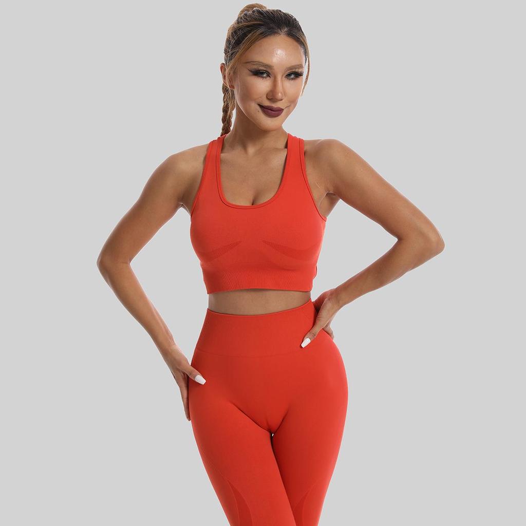Women's Quick-Dry Seamless Sports Bra and Leggings Set - Shockproof Vest for Running and Yoga