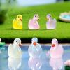Micro Landscape Cartoon Cute Glow-in-the-dark Color Swan Animal Resin Decoration Diy Decorative Accessories Desktop Decoration