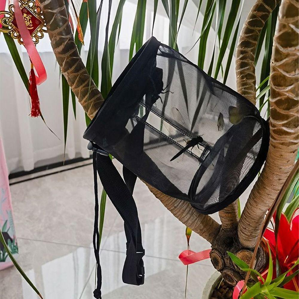 Exploration Mesh Butterfly Cage Folding Insect Mesh Cage Caterpillar Raising